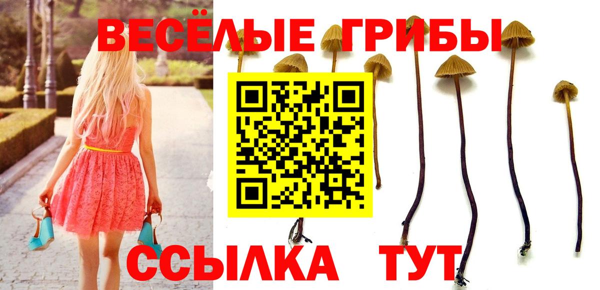 наркошоп  Галлюциногенные грибы Cubensis  Вход с VPN  Мурманск 